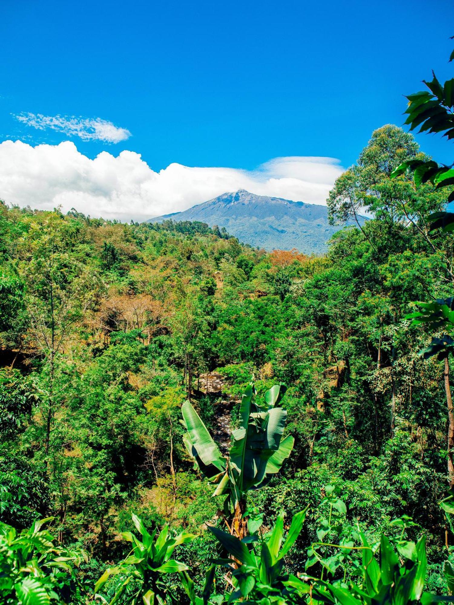 Arusha Jua Home Dış mekan fotoğraf